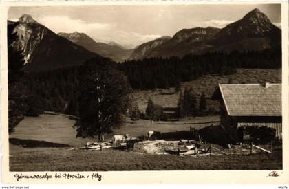 CPA AK PFRONTEN Alps at Pfronten GERMANY (1296504)