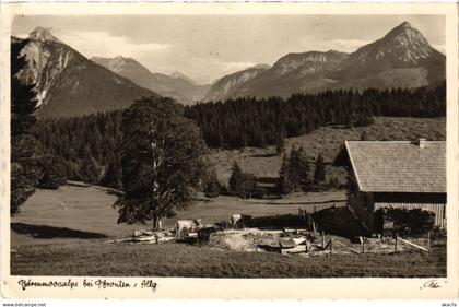 CPA AK PFRONTEN Alps at Pfronten GERMANY (1296505)