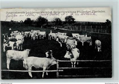 13408979 - Pfullendorf , Baden