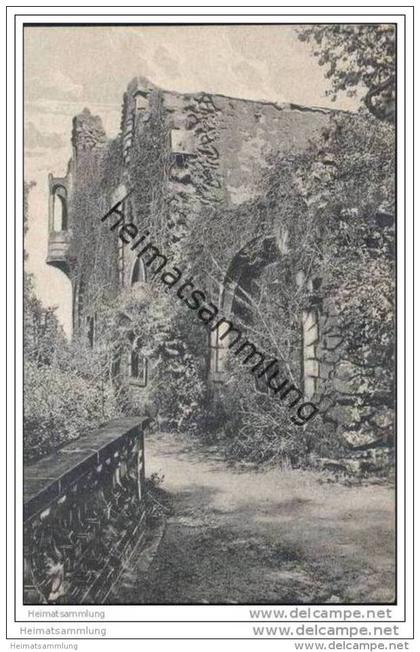 Die Pillnitzer Ruine