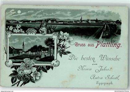 13438948 - Plattling