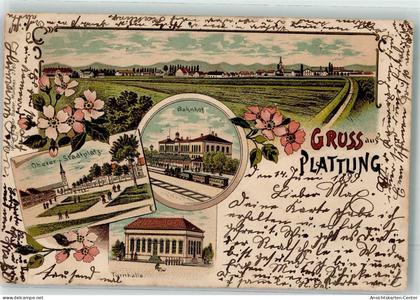 13498995 - Plattling