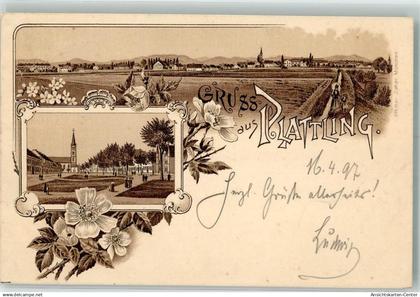 13523455 - Plattling