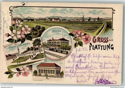 13549287 - Plattling