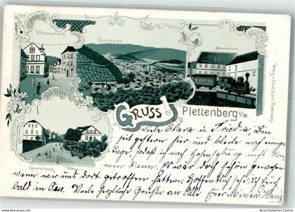 13535129 - Plettenberg