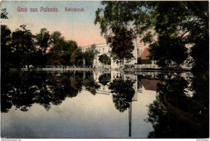 Pulsnitz, Schlossteich