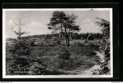 AK Quickborn, Ortspartie mit Häusern und Waldblick