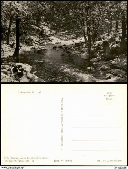 Ansichtskarte Rabenau Rabenauer Grund Bachlauf 1960