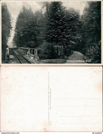 Ansichtskarte Rabenau Rabenauer Grund Eisenbahn 1934