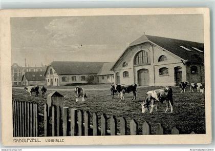 13261306 - Radolfzell am Bodensee