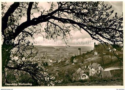 Ravensburg Wuerttemberg Panorama
