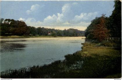 Im Sachsenwald bei Reinbek
