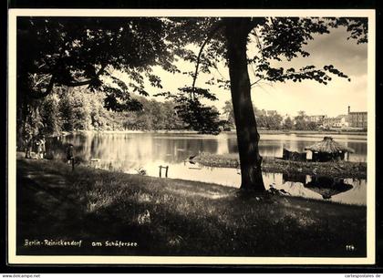 AK Berlin-Reinickendorf, Schäfersee, Uferansicht, Boot, Laube