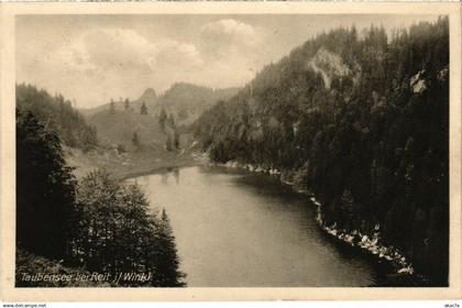 CPA Reit im Winkl - Taubensee bei Reit im Winkl GERMANY (1034447)