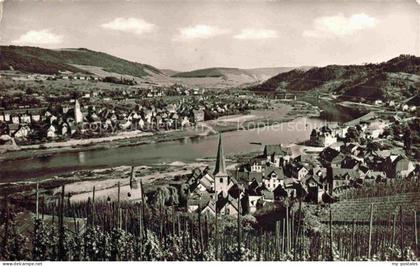 Alf Bullay Mosel Panorama