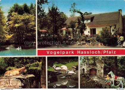 Hassloch Pfalz Vogelpark