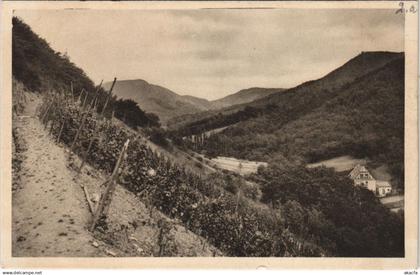 CPA AK RHONDORF Lowenburger Tal GERMANY (319116)