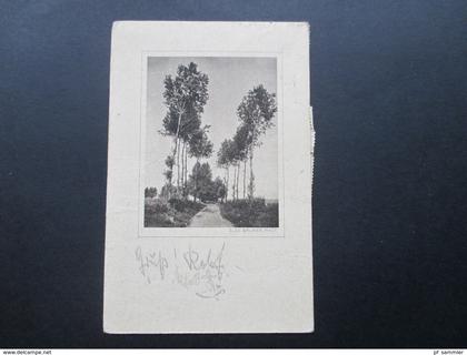 AK 1922 Rossleben. Else Bäumer Phot. Allee. Infla MiF mit Bahnpoststempel. Naumburg (Saale) - Artern Zug 662