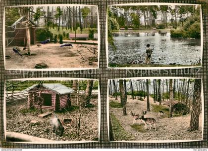 Ruesselsheim Main Ostpark Tierpark Schwanenteich