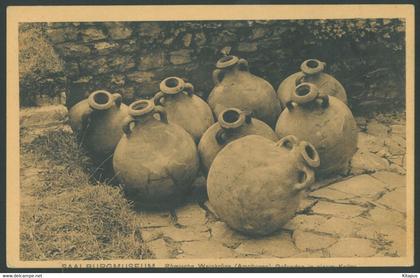 SAALBURG vintage postcard Germany