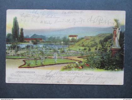 AK 1903 Sangerhausen Rosarium / Rosengarten. Verlag Alexander Hase, Sangerhausen.