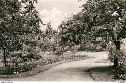 Sangerhausen Suedharz Rosarium