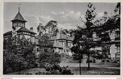 Vogelsang b. Gommern Postkarte AK 1941