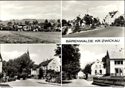 CPA Bärenwalde Crinitzberg in Sachsen, Panorama, Straßenansichten