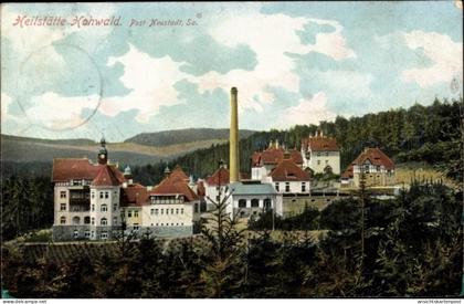 CPA Hohwald Neustadt in Sachsen, Heilstätte Hohwald