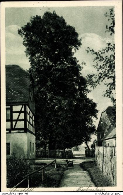 CPA Schmiedefeld Großharthau in Sachsen, Napoleonslinde