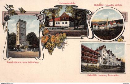 Heilstätte Hohwald, Hohwaldschänke und Aussichtsturm Sachsen Postkarte AK 1908