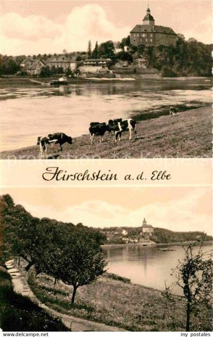 Hirschstein Elbe Riesa Elbpartie
