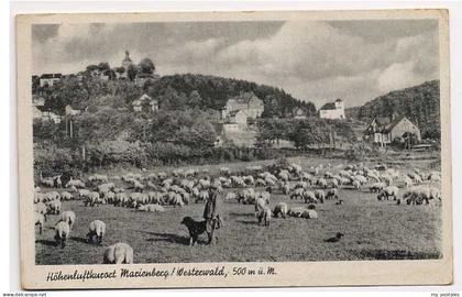 Marienberg Erzgebirge Marienberg