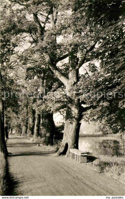 Waldenburg Sachsen Eichenallee