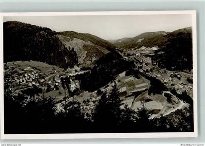 10061450 - Schiltach