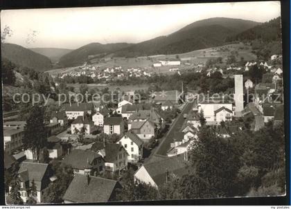 Schiltach Panorama
