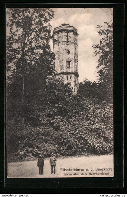 AK Schönwalde /Holstein, Elisabethturm a. d. Bungsberg
