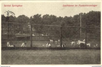 CPA Springhoe Hohenlockstedt in Holstein, Schloss Springhoe, Laufräume im Foxterrierzwinger