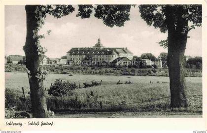 Schleswig Schlei Erfde Schleswig-Holstein Schloss Gottorf