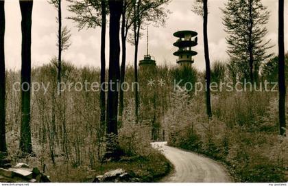 Schoenwalde Bungsberg Waldrestaurant Bungsberg Aussichtsturm