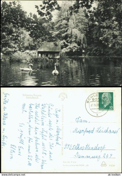 Ansichtskarte Schlettau Schloßteich Haus 1967