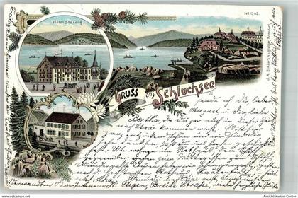 13584142 - Schluchsee