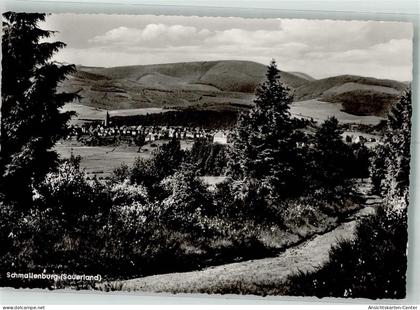 38078670 - Schmallenberg