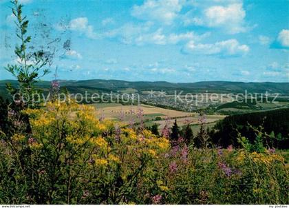 Schmallenberg Panorama