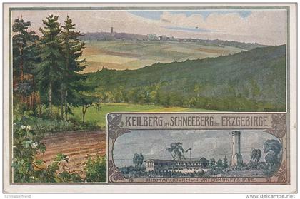Litho AK Keilberg Bismarckturm Gasthof Unterkunftshaus Schneeberg Erzgebirge Schlema Zschorlau Aue Neustädtel Griesbach