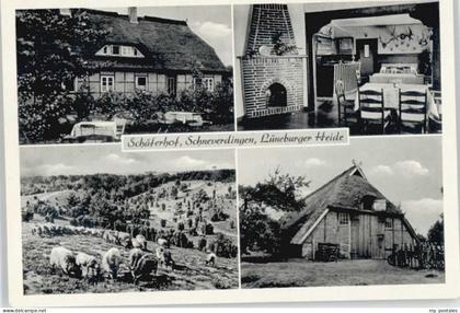 Schneverdingen Schaeferhof