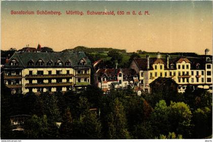 CPA Schomberg - Sanatorium Schomberg - Schwarzwald GERMANY (910412)