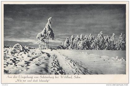 Schömberg, Schwarzw.,  Winterlandschaft, Wie tot und doch lebendig!, um 1930