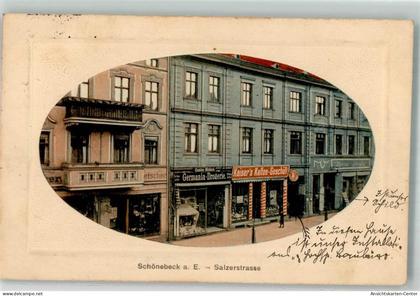 13526564 - Schoenebeck Elbe