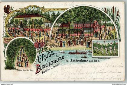 13552921 - Schoenebeck Elbe